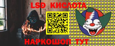 сатива Краснодар