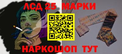 сатива Краснодар